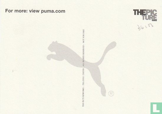 Puma - Image 2