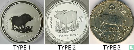 Australië 1 dollar 2007 (type 1 - gedeeltelijk verguld) "Year of the Pig" - Afbeelding 3
