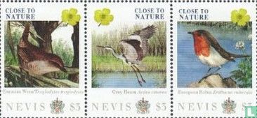 Birds