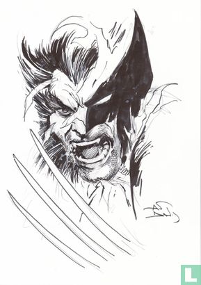 Berserk Wolverine