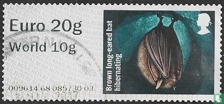 Bat