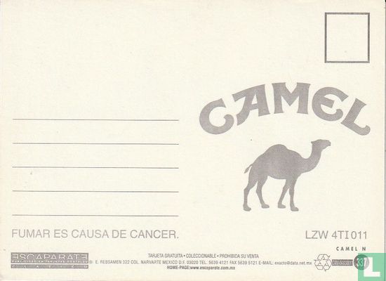 00337 - Camel - Afbeelding 2