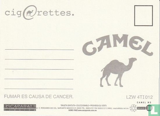 00338 - Camel - Afbeelding 2