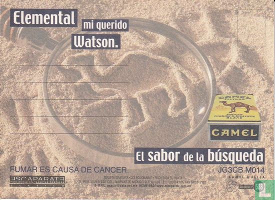 00588 - Camel - Image 2