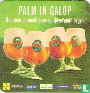 Palm in galop  - Image 2