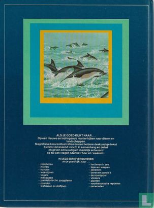 Als je goed kijkt naar walvissen en dolfijnen - Bild 2
