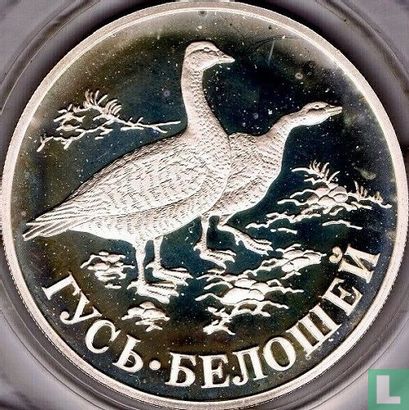 Rusland 1 roebel 1998 (PROOF) "White-neck goose" - Afbeelding 2