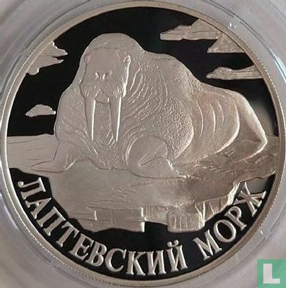 Rusland 1 roebel 1998 (PROOF) "Laptev Sea walrus" - Afbeelding 2