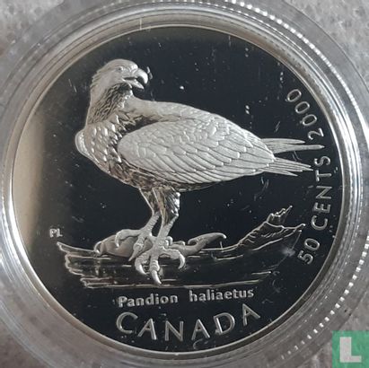 Canada 50 cents 2000 (PROOF) "Osprey" - Afbeelding 1