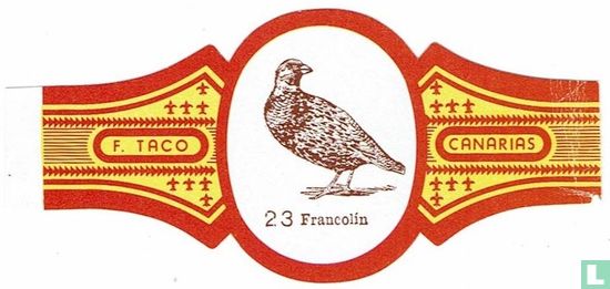 Francolin - Image 1