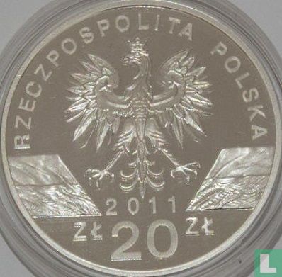 Poland 20 zlotych 2011 (PROOF) "Eurasian badgers" - Image 1