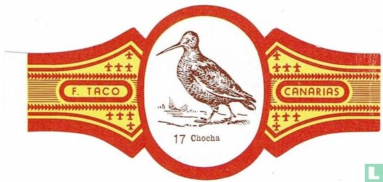 Chocha - Image 1