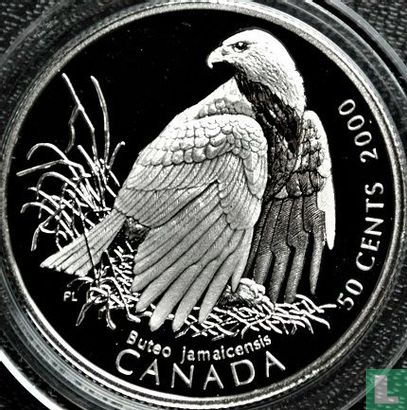 Canada 50 cents 2000 (PROOF) "Red-tailed hawk" - Image 1
