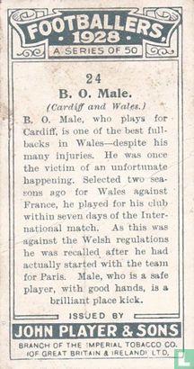 B. O. Male (Cardiff and Wales) - Image 2