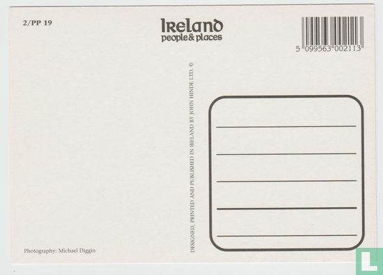 Irish Hen Party Ireland Postcard - Image 2