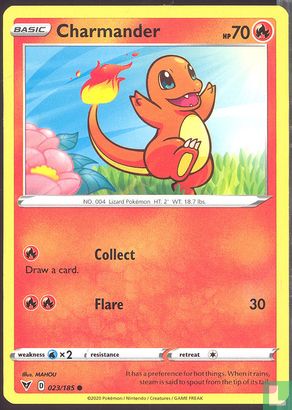 Charmander - Bild 1