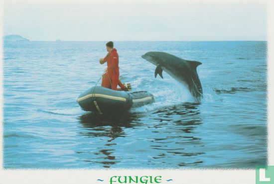 Fungie The Dolphin Delights Visitors To Dingle Harbour Ireland Postcard - Image 1