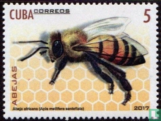  Bijen