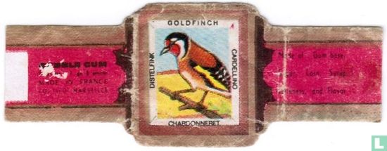 Goldfinch - Cardellino - Chardonneret - Distelvink (Bubble Gum) - Afbeelding 1