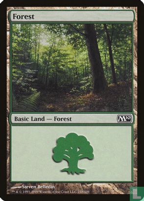 Forest - Image 1