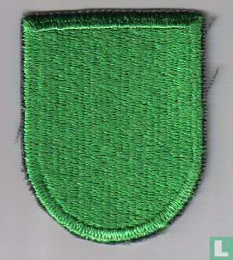 10th Special Forces Beret Flash