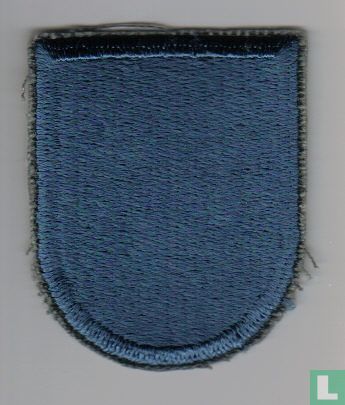 19th Special Forces Beret Flash