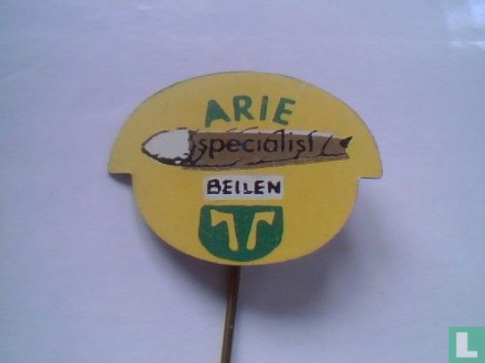 Arie specialist Beilen