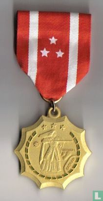 Philippine Defence Medal