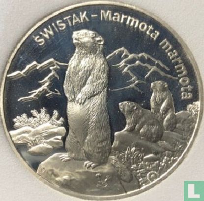Polen 20 zlotych 2006 (PROOF) "Alpine marmots" - Afbeelding 2