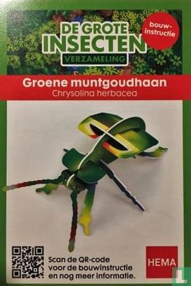 Groene muntgoudhaan - Afbeelding 2