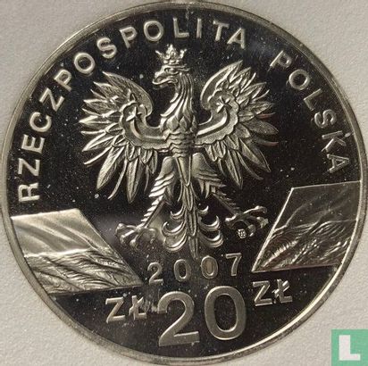Poland 20 zlotych 2007 (PROOF) "Grey seals" - Image 1