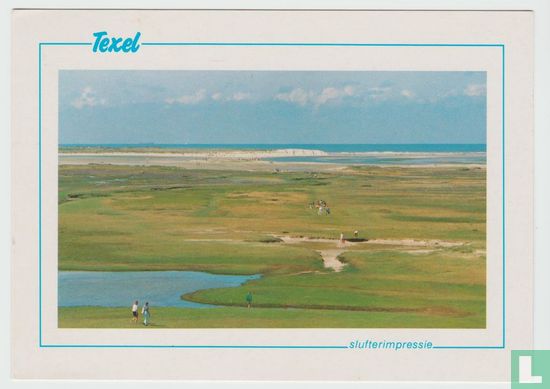 Texel Slufterimpressie Waddeneilanden Netherlands Postcard - Bild 1