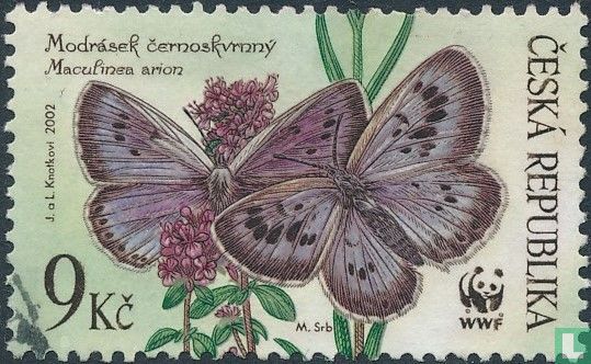 WWF - Butterflies