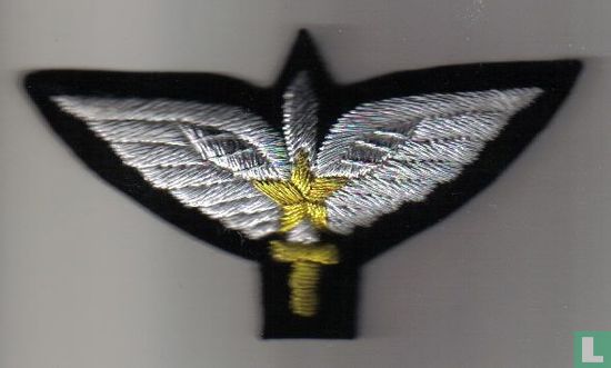 Para Commando Wings