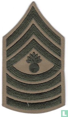 Master Gunnery Sergeant Cloth Shoulder Rank Insignia