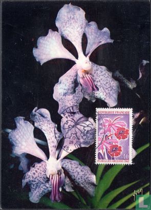 Floralies d'Orléans - Image 1