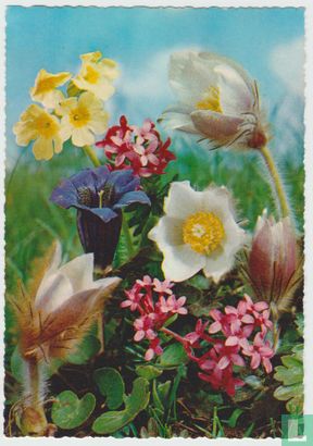 Flowers Postcard - Afbeelding 1