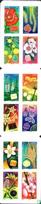 Fleurs et douceurs - Image 2