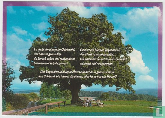 Tree Postcard - Afbeelding 1