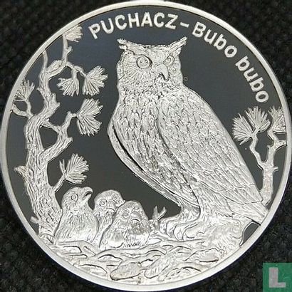 Poland 20 zlotych 2005 (PROOF) "Eurasian eagle-owl" - Image 2
