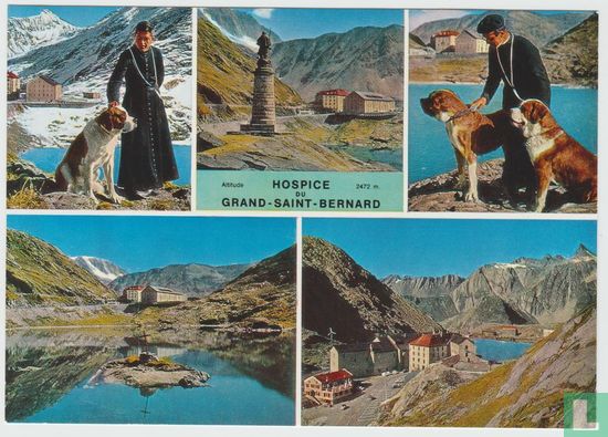 Hospice du Grand-Saint-Bernard Valais Switzerland Hostel Dogs Multiview Postcard - Bild 1