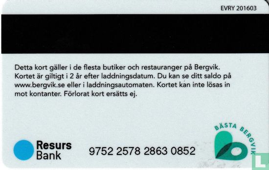 Bergvik - Afbeelding 2