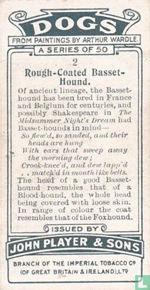 Rough-Coated Basset-Hound - Afbeelding 2