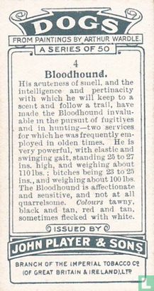 Bloodhound - Afbeelding 2