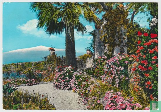 Taormina L'Etna di tra i fiori Messina Sicilia Italia 1966 Cartoline - The Etna mount seen among the flowers Postcard - Afbeelding 1