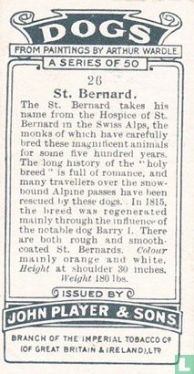 St. Bernard - Afbeelding 2