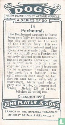 Foxhound - Afbeelding 2