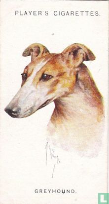 Greyhound - Image 1
