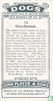 Greyhound - Afbeelding 2