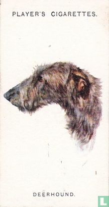 Deerhound - Afbeelding 1